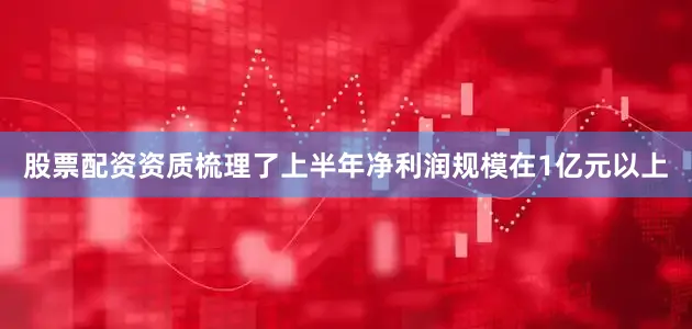 股票配资资质梳理了上半年净利润规模在1亿元以上